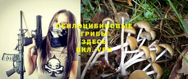 бошки Нягань