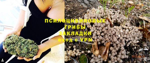 мет Нязепетровск