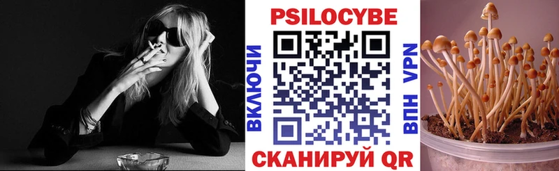 Псилоцибиновые грибы прущие грибы  кракен ТОР  Балахна 