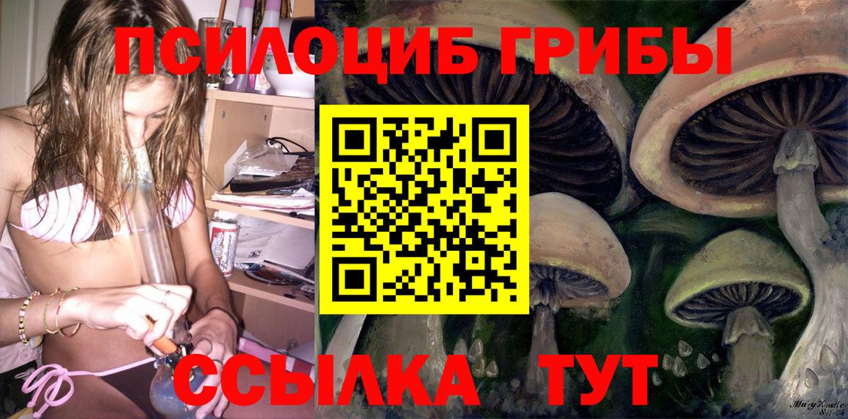 Галлюциногенные грибы Psilocybine cubensis  Псилоцибиновые грибы GOLDEN TEACHER  Балахна 