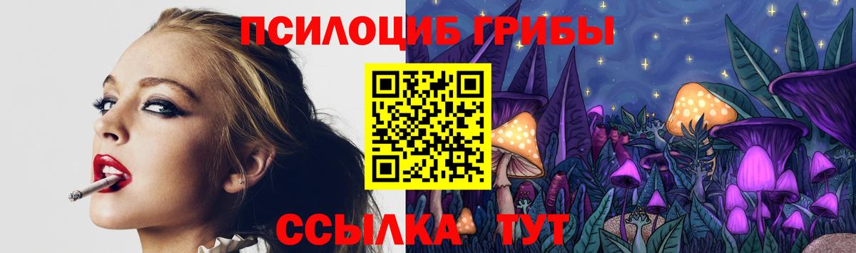 Псилоцибиновые грибы мицелий Балахна