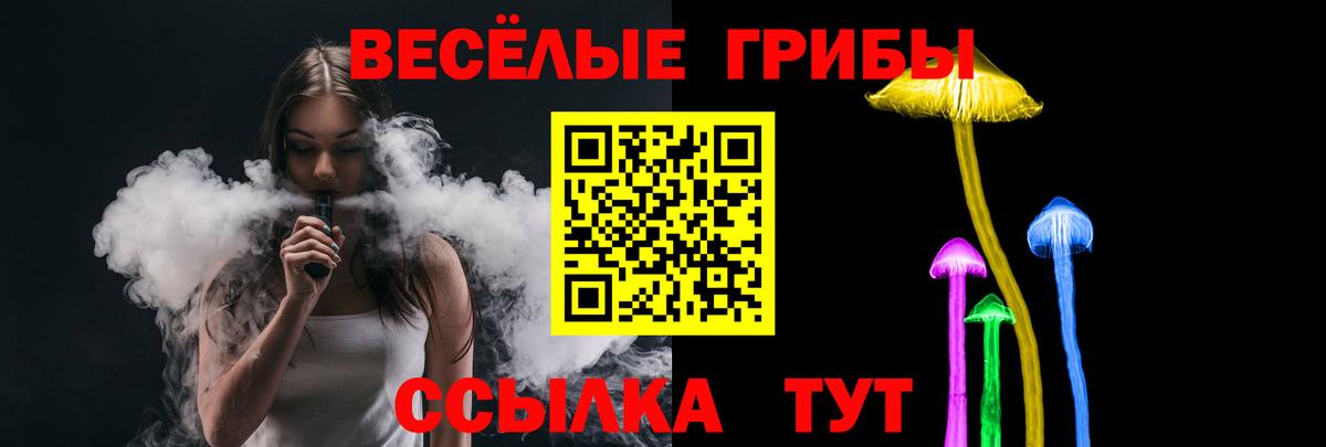 Балахна  Галлюциногенные грибы Psilocybe  Вход с VPN 