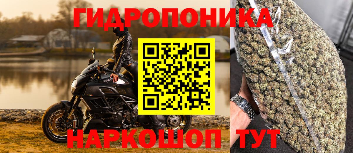 МАРИХУАНА сатива  Балахна  Бошки Шишки семена  Канабис гибрид  Марихуана Ganja 